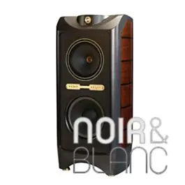 Enceintes colonne Tannoy Kingdom Royal CB | Plébiscité par les clients