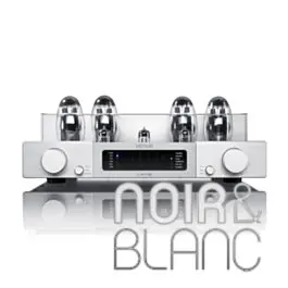 Qualité premium | Amplificateurs Octave V80 SE