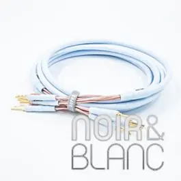 Offre exclusive | Câbles Haut-parleurs Supra Cables XL Annorum