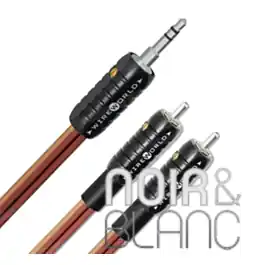 Câbles audio Wireworld Nano Eclipse Mini Jack - Tout juste ajouté