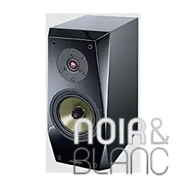 Offre spéciale - Focus Audio FP-60 SE Ebony