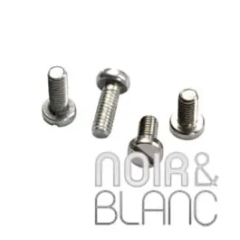 Commandez dès maintenant - Accessoires ORTOFON SCREWS (For 2M)