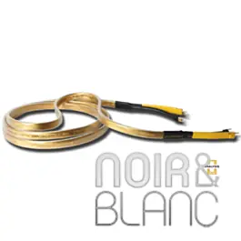 Nouveau en boutique - Câbles Haut-parleurs Analysis Plus Golden Oval Speaker