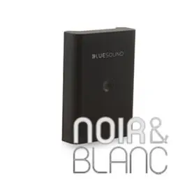 Accessoires Bluesound BP 100 - Qualité professionnelle
