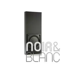 Plus que quelques pièces | Monitor Audio IWB 10