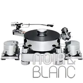 Platines vinyles Transrotor Massimo TMD - Incontournable