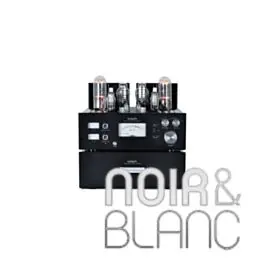 Amplificateurs Line Magnetic LM-845 Premium - Stock limité