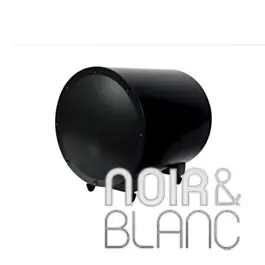 Prix malin | Caissons de basse Gallo Acoustics TR3D subwoofer