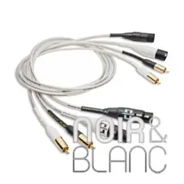 Se termine bientôt | Câbles audio Analysis Plus Silver Apex RCA / XLR