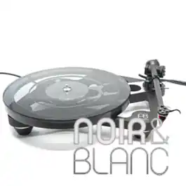 Platines vinyles Rega Planar 8 | Coup de cœur des clients