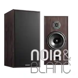 En stock | Enceintes bibliothèque Spendor Classic 2/3