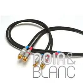 Nouvel arrivage - Câble RCA Acoustic Revive LINE 1 R triple C FM