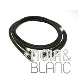 Incontournable - Câble RCA Acoustic Revive ABSOLUTE RCA
