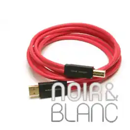 Disponible maintenant | Câble USB Acoustic Revive USB R AU1 PL