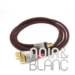 Prix avantageux - Câble USB Acoustic Revive USB 1.0 SP TRIPLE C