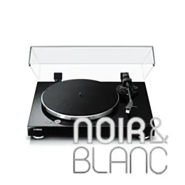 Platines vinyles YAMAHA MusicCast Vinyl 500 (TT-N503) - Très populaire