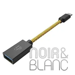 Accessoires iFi Audio OTG | Stock presque épuisé