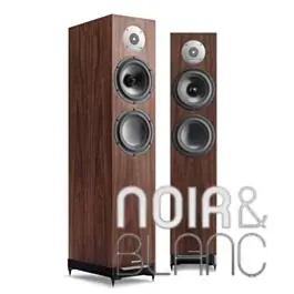 Enceintes colonne Spendor D7.2 | Offre flash