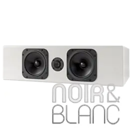 Plébiscité par les clients - Enceinte centrale Totem Wood V2