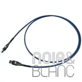 Câble USB Cardas Clear BUSS | Bon plan