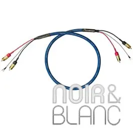 Câble platine vinyle Cardas Clear Beyond Phono - Prix avantageux