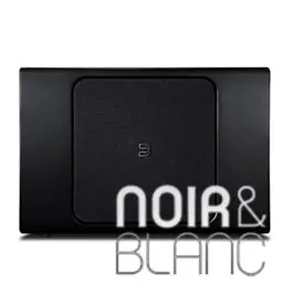 Disponible maintenant - Caissons de basse Bluesound Pulse Sub +