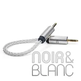 Casques audio iFi Audio 4.4 mm-4.4 mm Cable - Nouvel arrivage