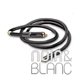 Très demandé | Câble coaxial Furutech Evolution II Digi RCA