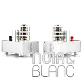 Amplificateurs AGD AUDION Monoblock - Premium