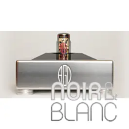 Amplificateurs AGD VIVACE Monoblock | Offre limitée