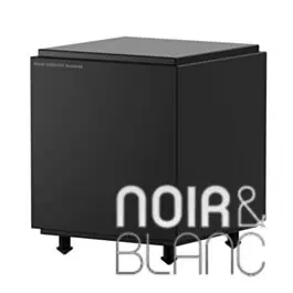 Caissons de basse Gallo Acoustics RoomSub 10 | Liquidation