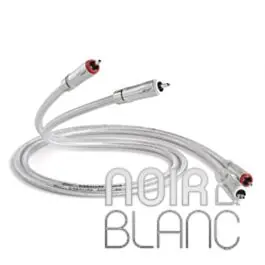 En stock - Câble RCA QED Signature Audio 40