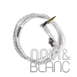 Nouveauté | Accessoires Final 3,5mm MMCX Silver Coated Cable