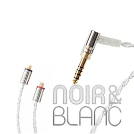 Achetez dès aujourd'hui | Accessoires Final 4,4mm MMCX Silver Coated Cable