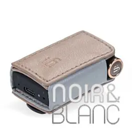 Offre spéciale - Accessoires iFi Audio Go blu case