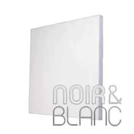 Recommandé - PYT AUDIO MUTUM ÉCO BLANC