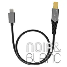 Câble USB Fiio LD-LT1 - Commandez dès maintenant