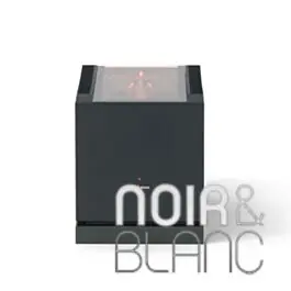 Amplificateurs Brinkmann Audio Mono MK II | Best-seller