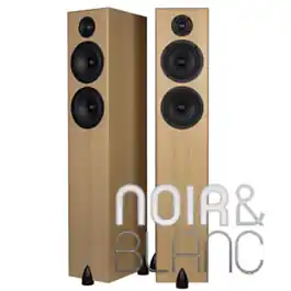 Prix mini - Enceintes colonne Totem Bison Twin Tower