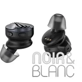 Expédition immédiate - Ecouteurs Bluetooth Fiio FW5