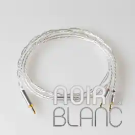 Accessoires Final D8000 4,4mm Silver Coated Cable | Prix avantageux