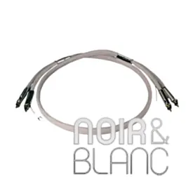 Câbles audio DS Audio PH-001 RCA/RCA - Petit prix