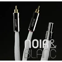 Câbles audio DS Audio PH-001 DIN droite/RCA | Prix bas