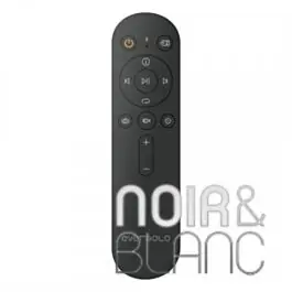 Télécommande Eversolo BTR-12 - Nouveau chez nous