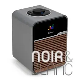 Enceintes sans fil Ruark Audio R1S - Très demandé