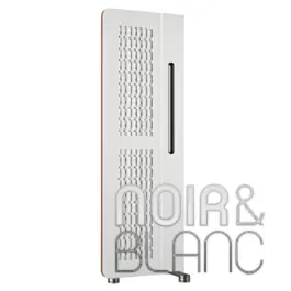 Prix exceptionnel - Enceintes colonne Diptyque Audio DP160 MKII