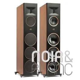 Commandez dès maintenant - Enceintes colonne Martin Logan Motion XT F200