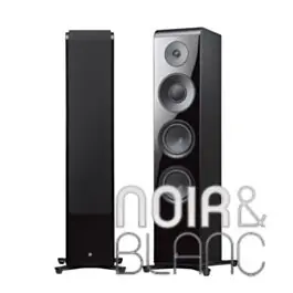 Enceintes colonne YAMAHA NS-2000A | Prix exceptionnel