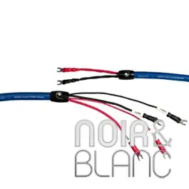 Câbles Haut-parleurs Cardas Clear Cygnus Speaker Bi-Wire | Offre à durée limitée