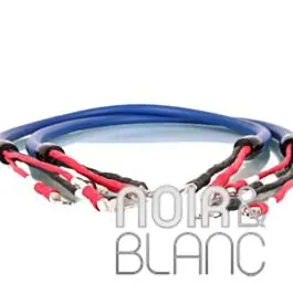 Produit tendance | Câbles Haut-parleurs Cardas Clear Beyond Speaker Bi-Wire